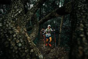 BIB: 
                            <button type="button" onclick="openModal(25689493)" class="btn btn-primary btn-sm float-right btn-popup" data-toggle="modal" data-target=".modal-high-quality">
                        <i class="fas fa-shopping-cart"></i> Add to Cart
                    </button>
                                            <button type="button" onclick="isThisMe(25689493, true)" class="btn btn-success btn-sm float-right btn-popup btn-isme hidden" data-toggle="tooltip" data-placement="bottom" title="นี่คือรูปของคุณใช่ไหม คลิกที่นี่เพื่อเอาเข้าอัลบั้ม">
                        <i class="fas fa-plus"></i> Add to album
                    </button>
                    <button type="button" onclick="isThisMe(25689493, false)" class="btn btn-warning btn-sm float-right btn-popup btn-isnotme hidden">
                        <i class="fas fa-ban"></i> Remove from album
                    </button>